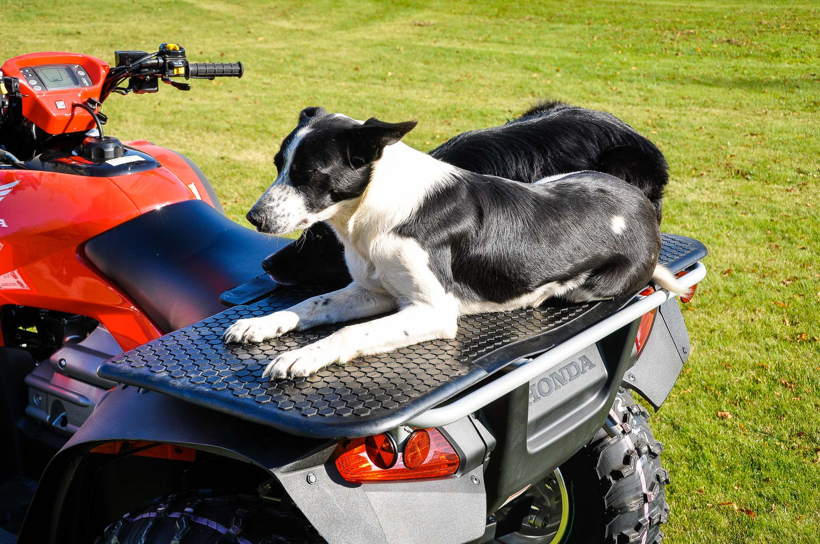 C-Dax hundemåtte - Rødkilde ATV