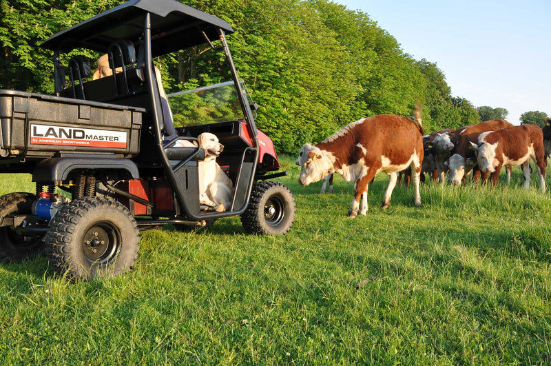 Landmaster LM48V elektrisk UTV - Rødkilde ATV